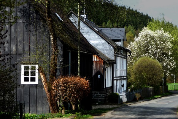 vormwald 1 - (c) c tussing.jpg